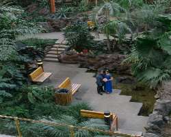 It is a beautiful tropical garden and is an ideal place for picnic and photo shoots.